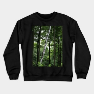 Leaning Birch Crewneck Sweatshirt